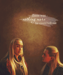caeldre:  my hobbitquotes 