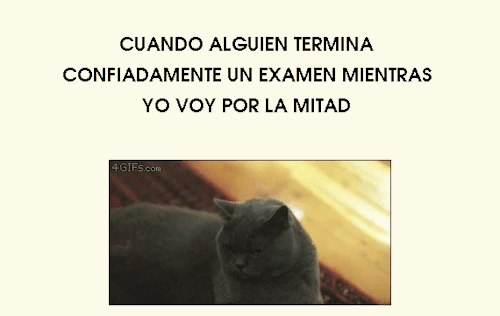 La vida sigue...