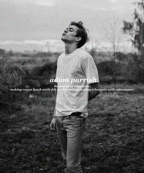outrodream:lit otps ≡ adam parrish and ronan lynch (the raven cycle)ronan was looking at him, as he 
