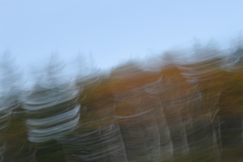 whoisbleu:  blur photography 