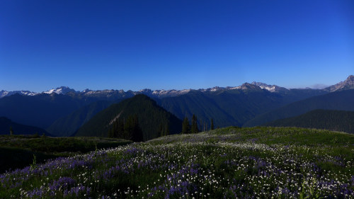 Nice view from the meadows by Joanne Najdzin