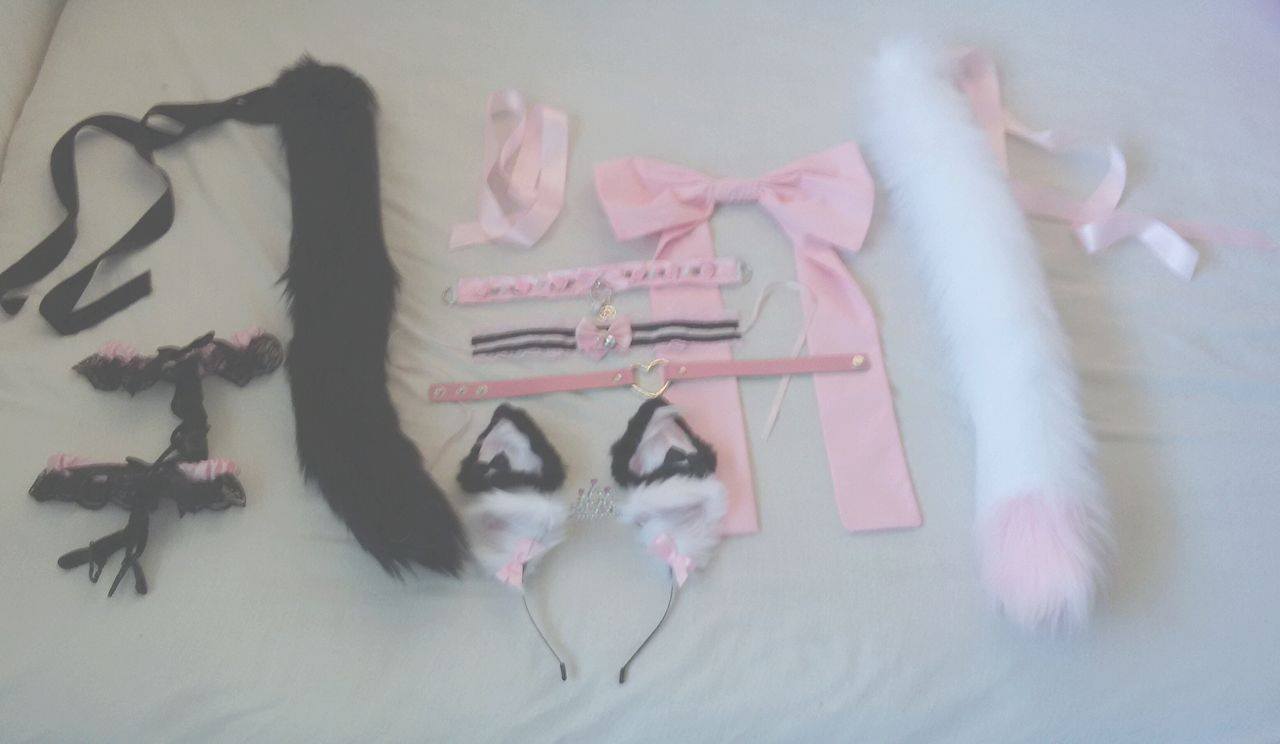 sleepyishhkitten:  My Collection ~ 