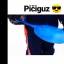 picsiguz
