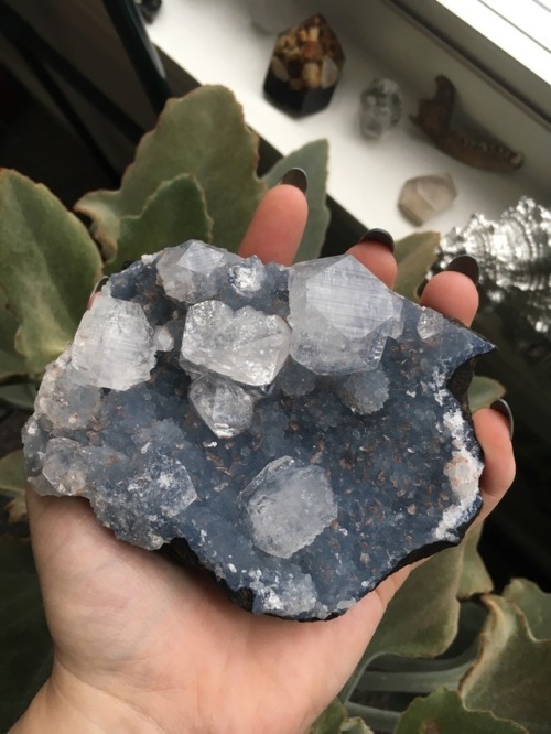 bonghitsandgeodes:this is my blue chalcedony slab with huge apophyllite crystals on it so mesmerizin