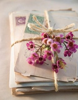 outlookss:  letters, romance, beige, pink, white, flowers, on We Heart It. http://weheartit.com/entry/84880673