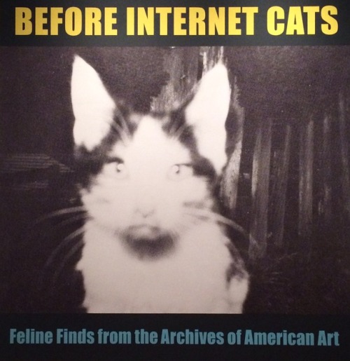 Cats didn’t need the internet to achieve feline fame. Our @archivesofamericanart has a ne