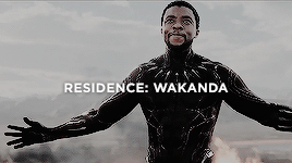 saltybatman:  endless list of favorite characters → t’challa ↳“Wakanda will