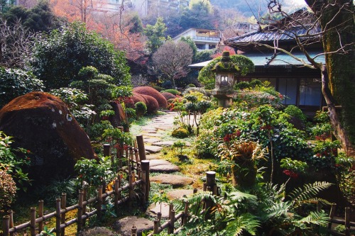 tokyogems:found a beautiful, quiet garden in hakone.吉井旅館の庭園。