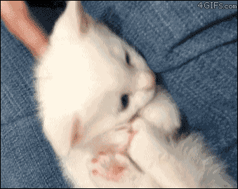 thekenzinator:  hi hello stop being so angry please stop fighting about things all