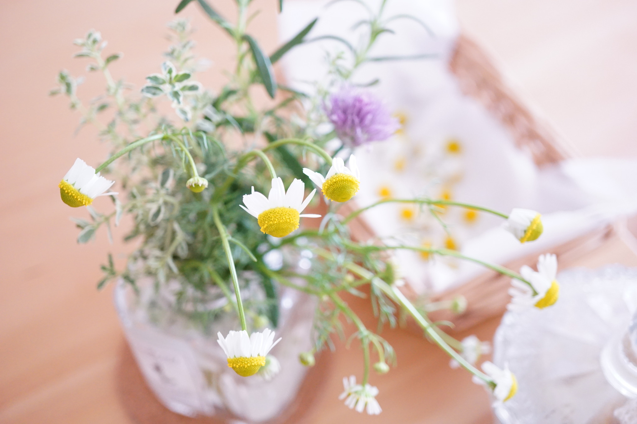 チャイブの花 Explore Tumblr Posts And Blogs Tumgir チャイブの花 Explore Tumblr Posts And Blogs Tumgir