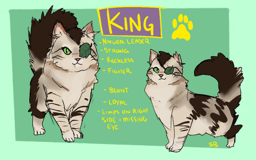 Cattails OC KingMountain Clan (for now until I get a custom clan)