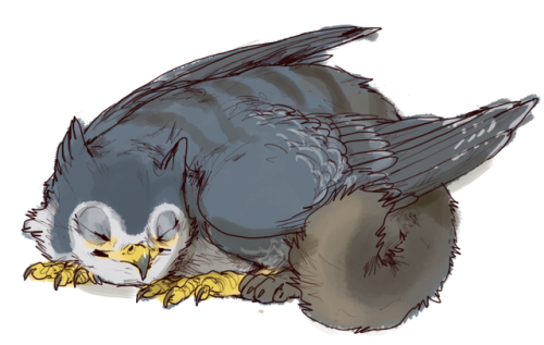 iguanamouth: three lil gryphon sketch coms for theycallmeser who might be getting one as a tatt