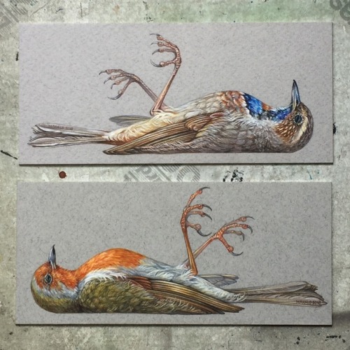 2 other small pieces that I recently finished. I love the beauty, fragility & frozen tragedy of 