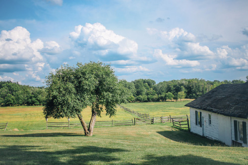 thegestianpoet-archive:Woke up today feeling claustrophobic in Buffalo; Knox Farm was the best possi