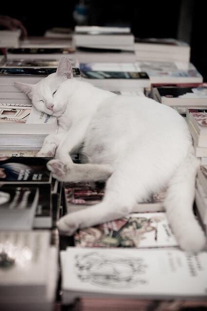 unevxntful:  my blog will make you smile 