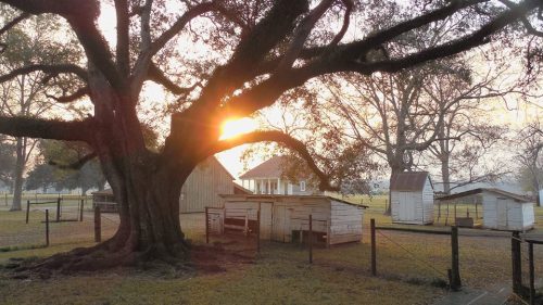 goparks:6 Unique Places to Honor African American History HeritageWhen you visit these sites, yo