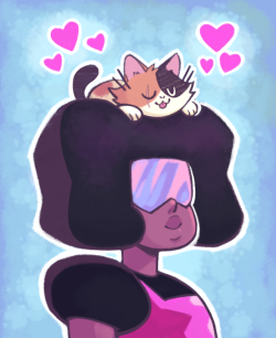 mystery-mangoes:cat steven!