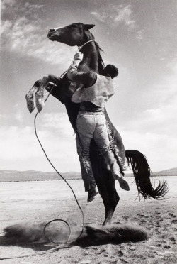 joeinct: Stuntman with Mustang on the Set of The Misfits, Photo by Ernst Haas, 1960