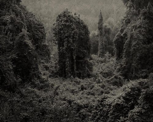 Sex photojojo:  These eerie landscape photos pictures