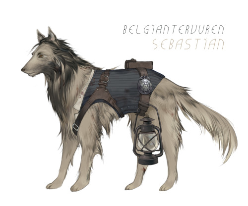 Sebastian - Belgian TervurenKidman - Angora catJoseph - Akita dog