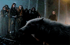 hemswrths:Even in Winterfell, as a kid before the wolves, Jon was the bastard. He was the odd one ou