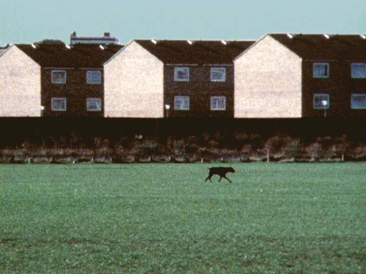 videoscript:  from Hackney Marshes (1977) by John Smith