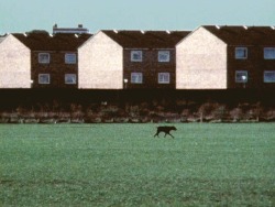 videoscript:  from Hackney Marshes (1977)