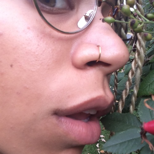 the ugly side of plants