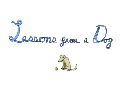 nevver:  Lessons from a Dog 