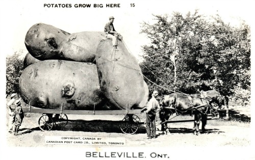 Patates géantes. Les photomontages des années 1910.