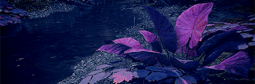 giantmudcrab:Havarl