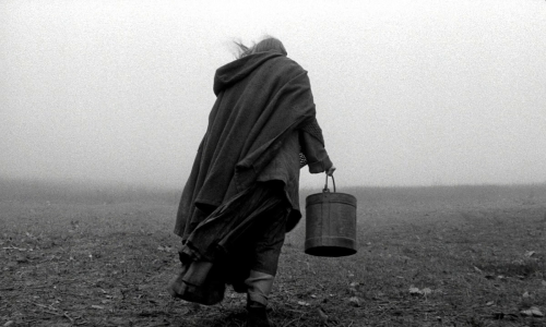 artfilmfan:  The Turin Horse (Béla Tarr, 2011) “Theirs is the moment… nature, infinite silence.” 