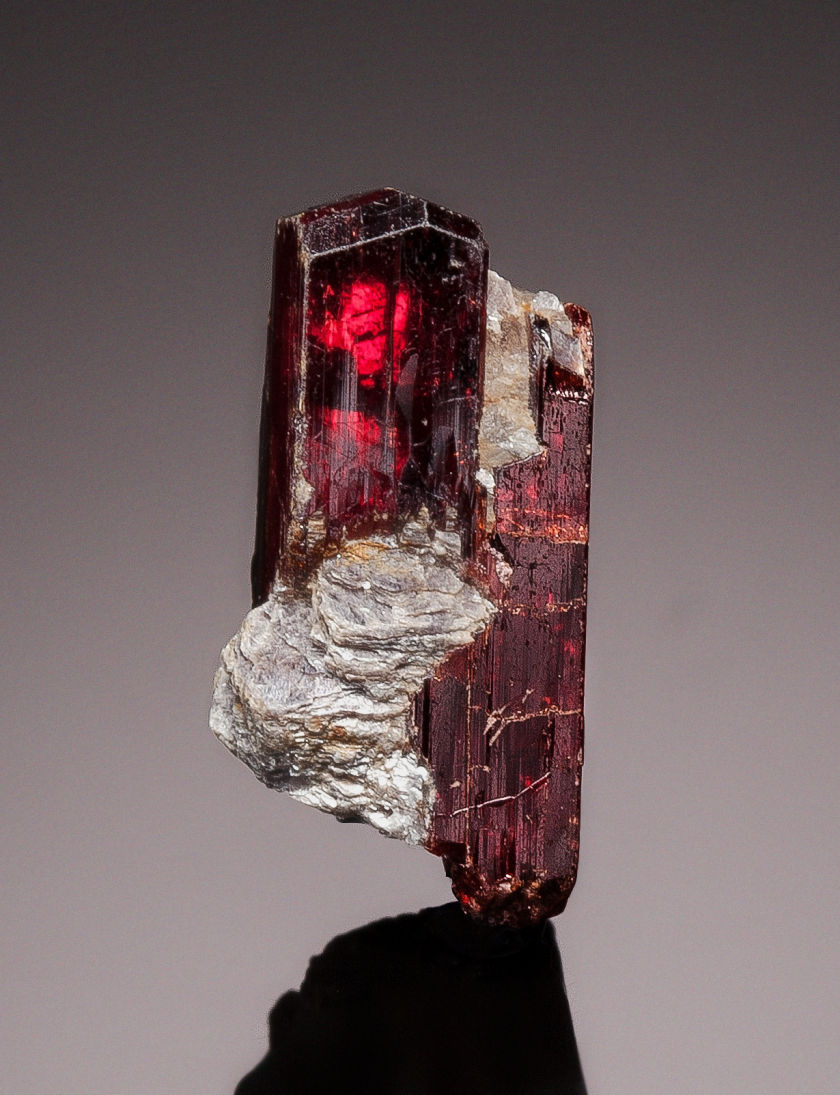bijoux-et-mineraux:  Manganotantalite - Minas Gerais, Brazil 