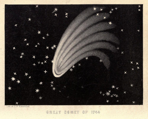 wnycradiolab: More from Flowers of the Sky—depictions of comets, meteors, meteorites and shoo