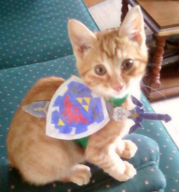 sacredrealm:  weepingangelsprohibited:  The Hero hyrule needs  AWWWWWWWWWWEEEE. 