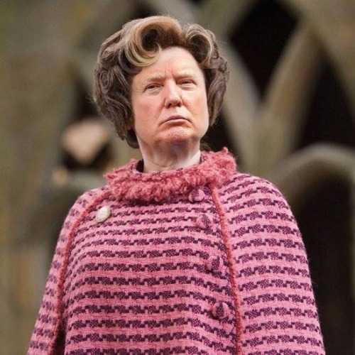 tastefullyoffensive:  Donald Umbridge (via grizzlyblake91)