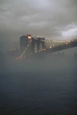 brutalgeneration:  Brooklyn Bridge Park (by