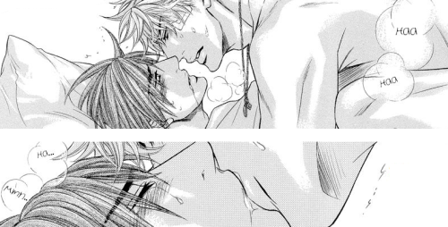 Yaoi Addiction...