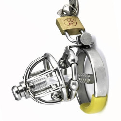 Well, Miss Tookie just made me order this new extremely small chastity cage so she has even more control over her cock! I&rsquo;m kinda excited but don&rsquo;t think I will be able to be excited at all when she gets it locked on me!