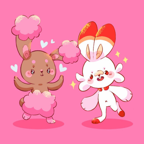 synonymy:bun duo 