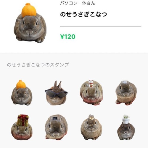 LINE スタンプ #konatsu #のせうさぎ [のせうさぎこなつ] https://line.me/S/sticker/1462451