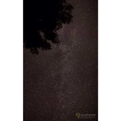 somegoodnoise:“#Perseid” - Some amazing #showers out there. Wasn’t going to take any photos, but de