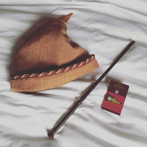 My #wizardingworldofharrypotter haul! I picked up an Oak wand (associated with knowledge and optimis