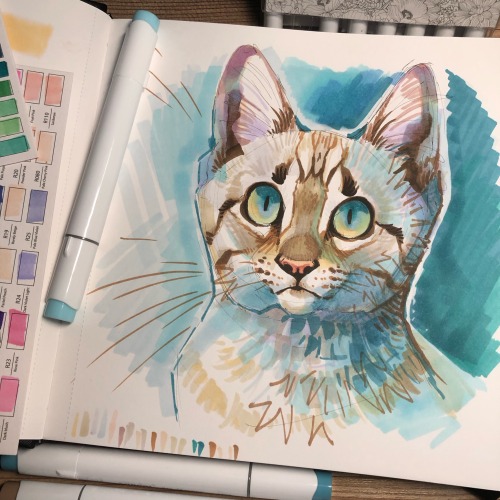 A Test With Some New Markers. Guys Flabbergasted