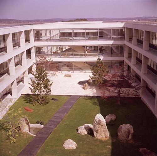 (Above) Isamu Noguchi guiding the placement of elements in one of two gardens he designed for IBM He