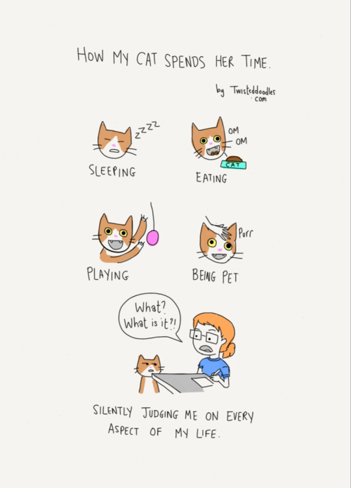 twisteddoodles:  How my cat spends her time. Twisted Doodles [tumblr | twitter | facebook | store]