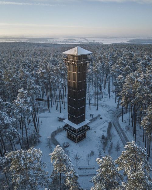 evilbuildingsblog:  The Hidden Tower Deep in The Woods.