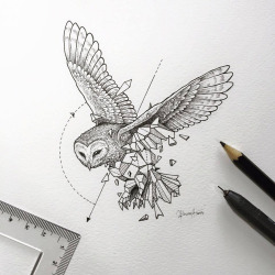 awesome-picz:    Intricate Drawings Of Wild Animals Fused With Geometric Shapes by Kerby Rosanes.