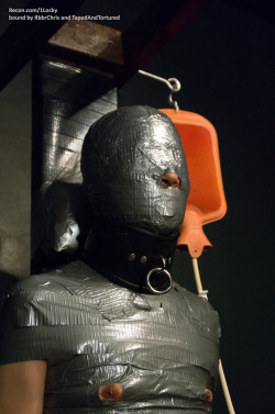 tapedandtortured:Taped tightly to a chair,
