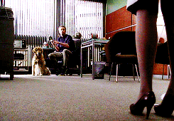  Masters: Can someone please explain to me what House and Wilson are doing with those
